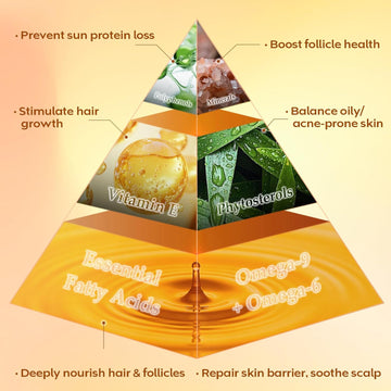 Revitalize Your Hair, Reclaim Your Confidence